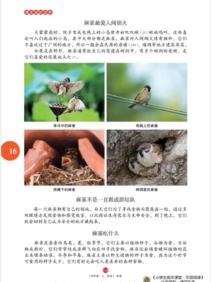 公车强轮系列全文在线阅读 | 热门章节持续更新