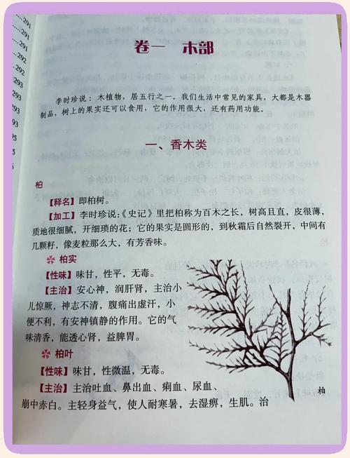 密室逃脱游戏在线看 - 烧脑解谜剧情,沉浸式阅读体验