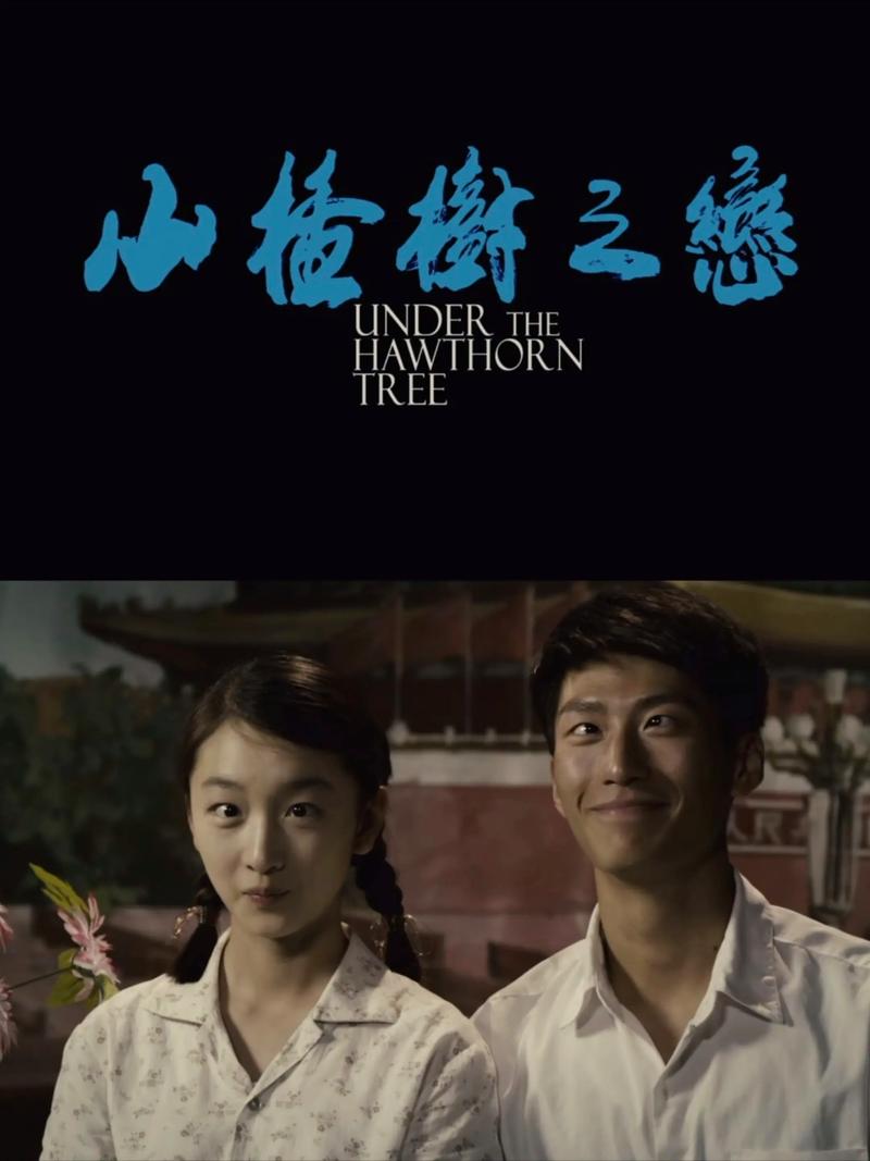 山楂树之恋全文免费在线阅读 | 纯爱经典小说