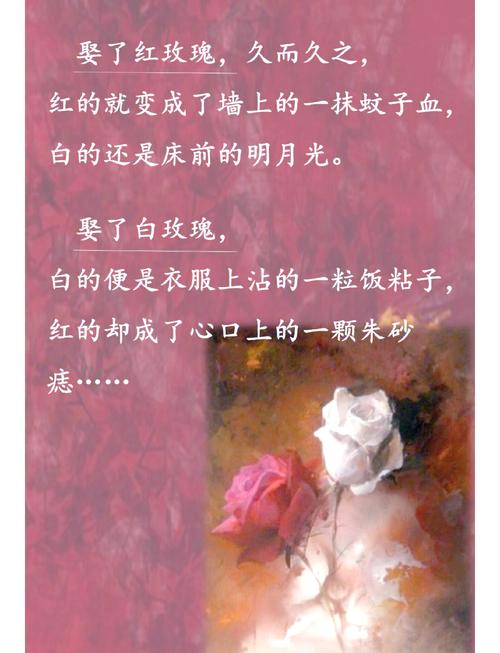 红玫瑰与白玫瑰在线阅读 | 张爱玲经典小说全文免费看