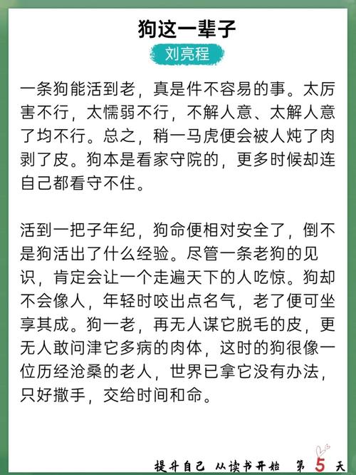 围城全文在线阅读 | 钱钟书经典小说免费阅读