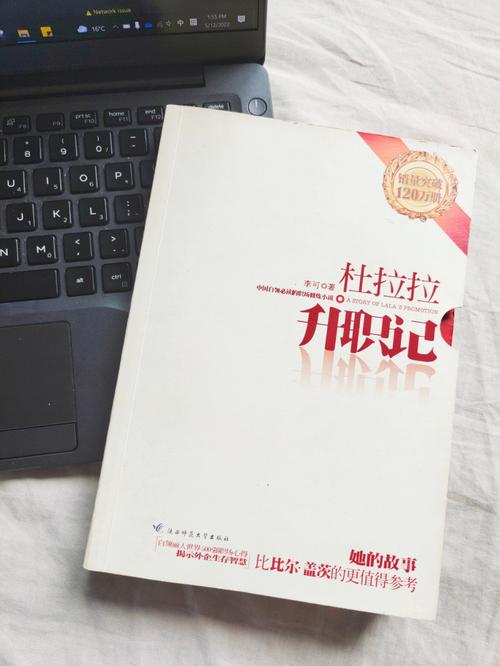 杜拉拉升职记全文在线阅读 - 职场晋升必读经典小说