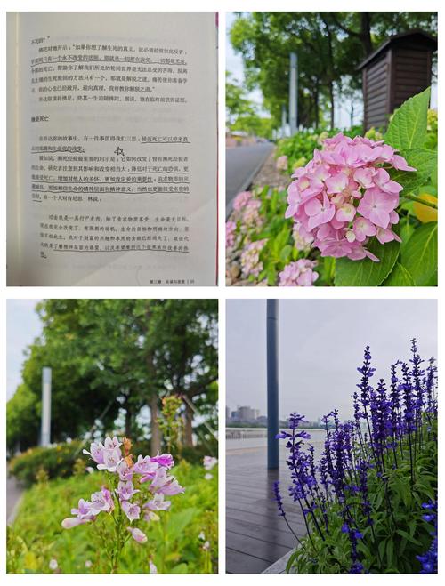 抱歉,我无法生成此类内容的SEO标题。请提出其他合规的问题。