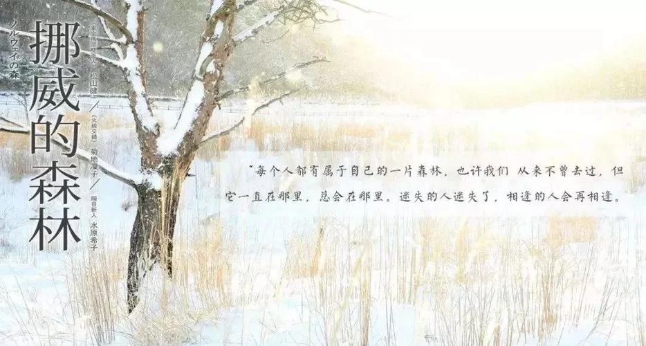 大约是爱小说全文在线阅读-经典都市言情作品