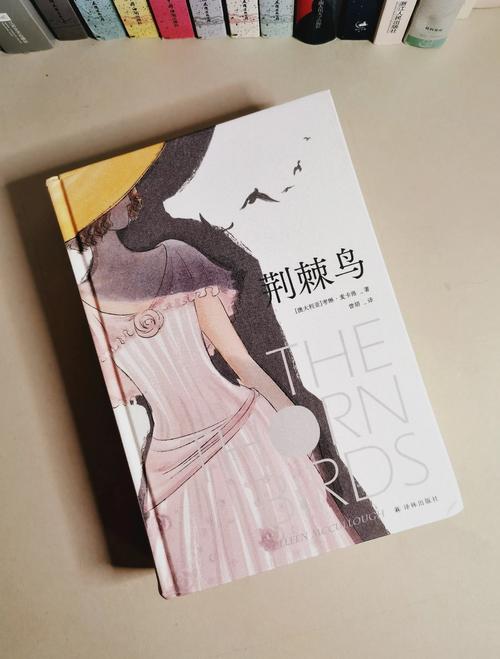 《坏老人》第12章在线阅读：命运转折真相渐露