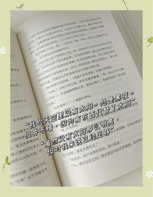 白夜行在线阅读全文 | 东野圭吾经典悬疑小说