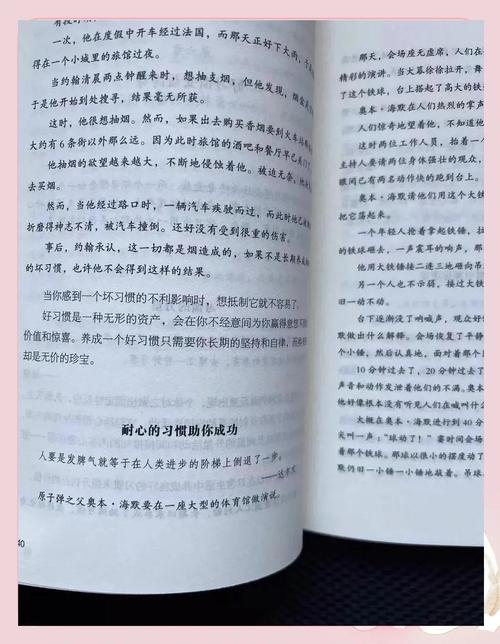 乱系列全集在线阅读｜全本无删减版合集
