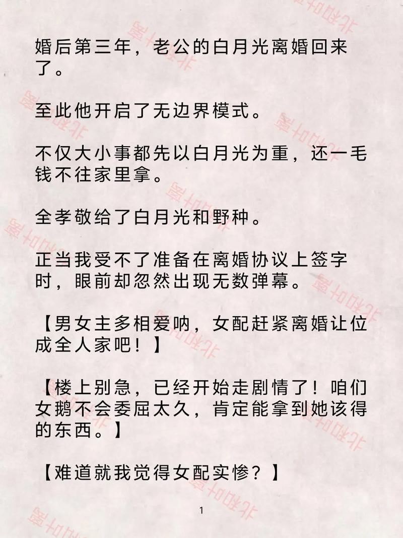 白洁无删减全文在线阅读_完整版小说免费章节