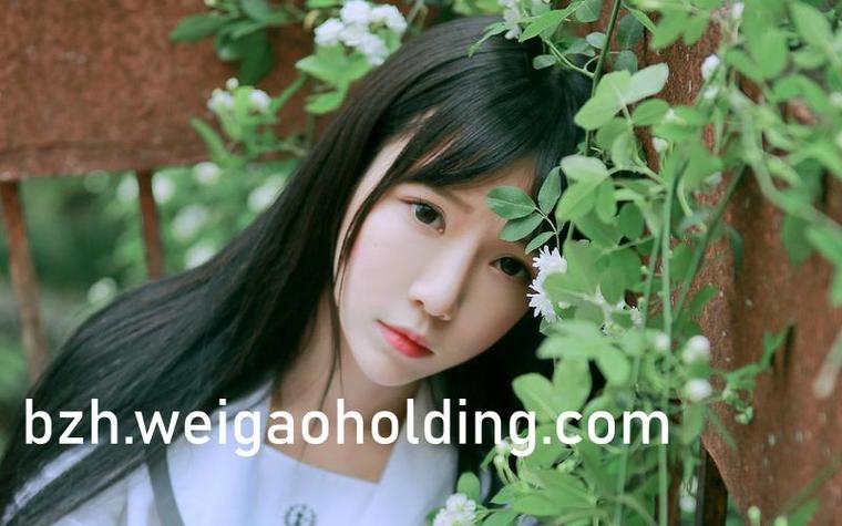 乐可金银花全文免费阅读在线下载，笔趣阁软件一键获取