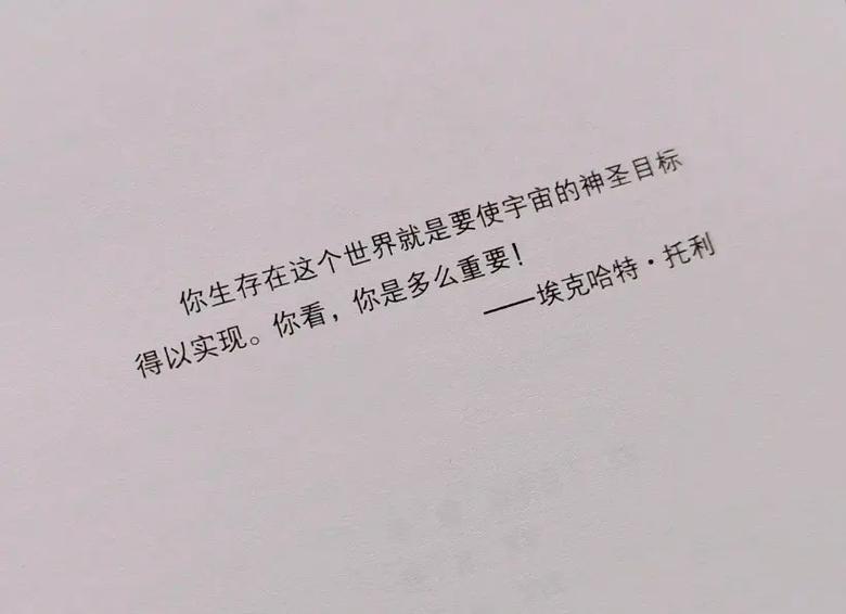 神雕侠侣在线阅读|金庸武侠经典小说全集免费阅读