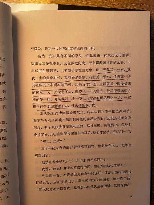 黄金时代在线阅读 - 王小波经典作品免费阅读