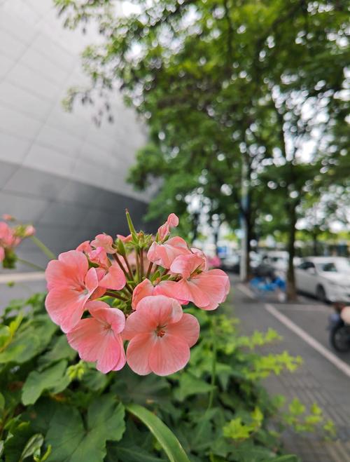 西藏生死书全文在线免费阅读 | 索甲仁波切原著