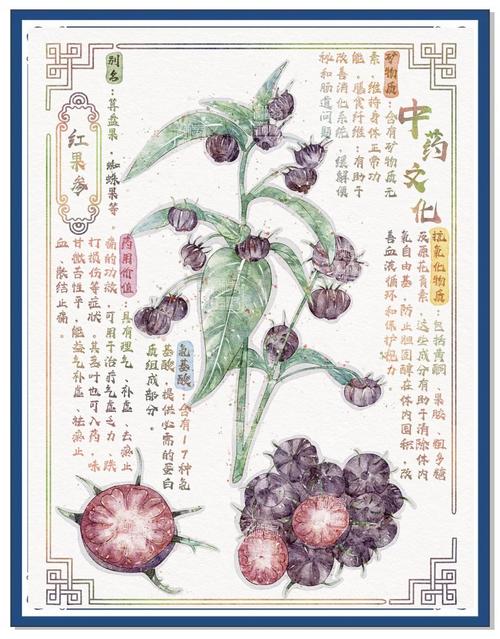 高效能人士的七个习惯在线阅读 | 经典自我管理指南