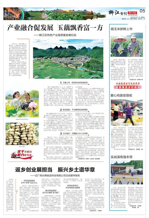 柳州晚报今日在线阅读｜最新新闻资讯一网打尽