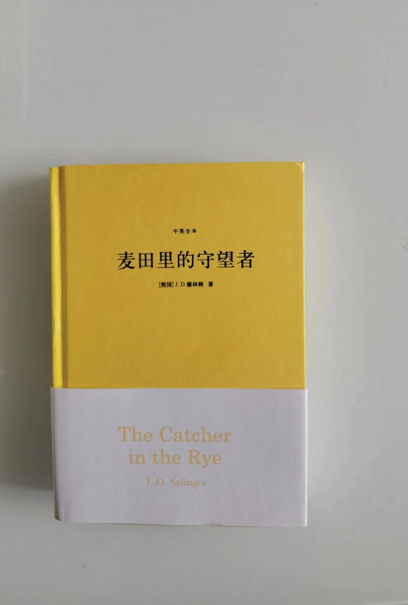 《麦田里的守望者》在线阅读 | 经典英文原著