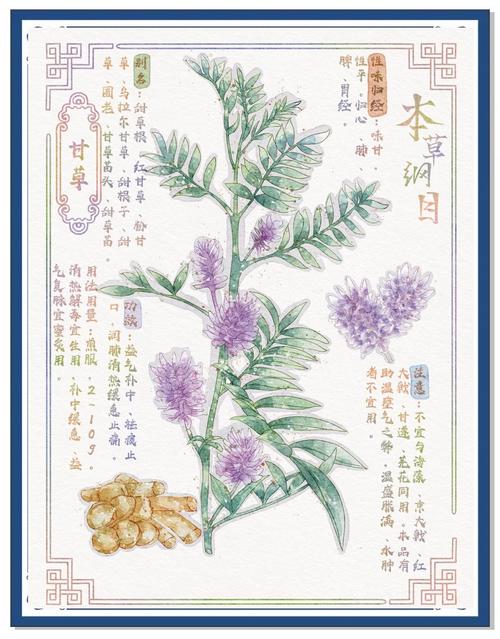 《生命的重建》在线阅读：心灵疗愈与自我成长指南
